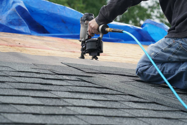 Best Storm Damage Roof Repair  in Lake Arbor, MD